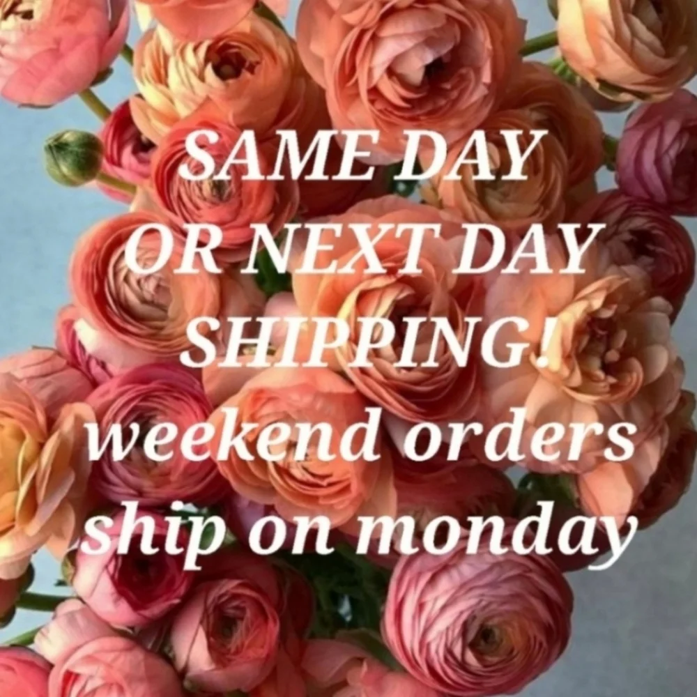 Love Moschino Pink Quilted Shoulder Bag - Picture 13 of 13